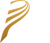logo_bspremium.png