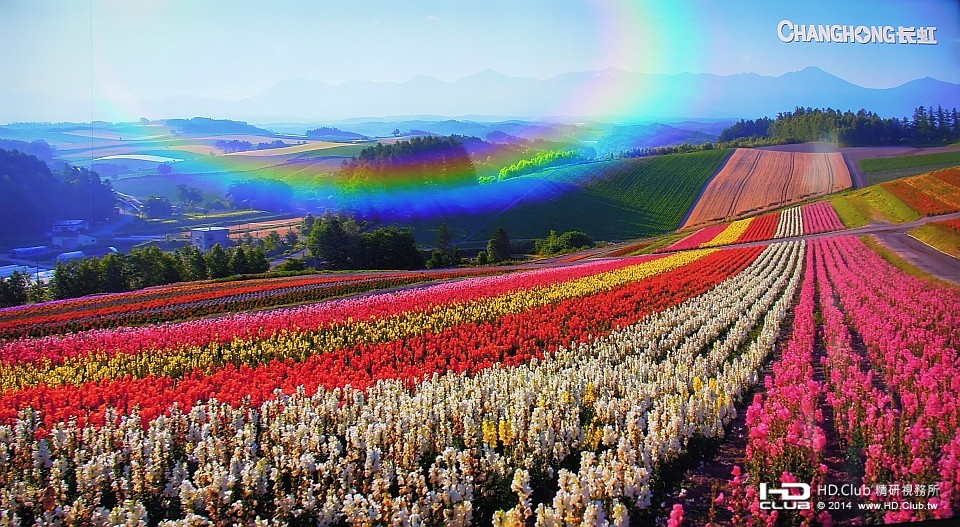 帶狀連綿不絕的各色花卉，加上亮閃閃的彩虹，彷彿仙境一般。