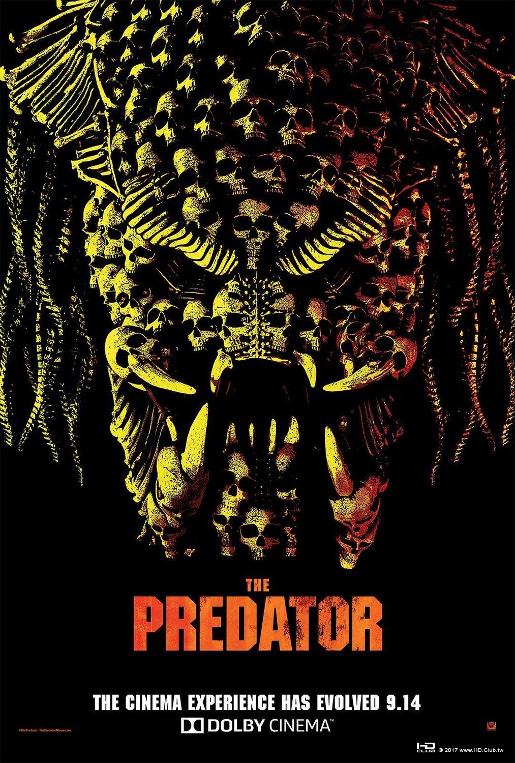 predator_ver5_xlg.jpg