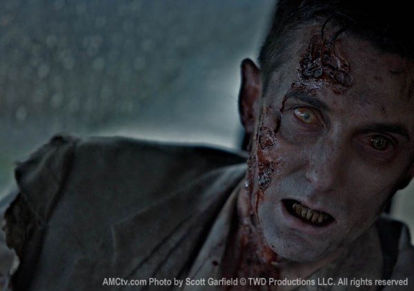 The_Walking_Dead_image_AMC-8-600x422.jpg