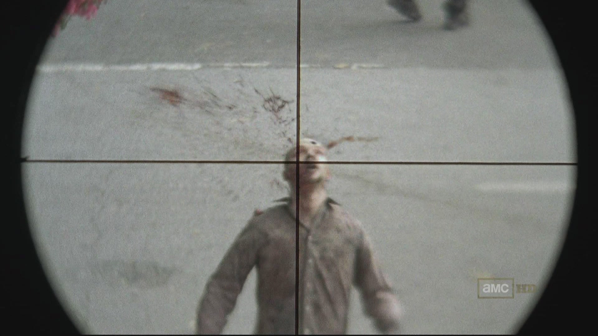 The Walking Dead S01E01 1080i HDTV MPEG2 - RAS[(084134)11-11-24].JPG