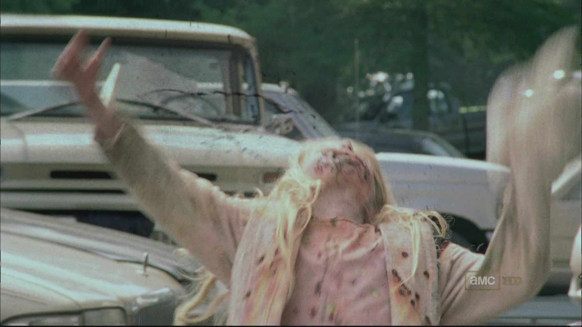 The Walking Dead S01E01 1080i HDTV MPEG2 - RAS[(007523)11-07-36].JPG