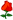 Icon197