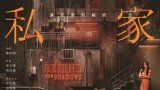 Behind the Shadows (私家偵探) 2025 港版藍光原盤中文字幕