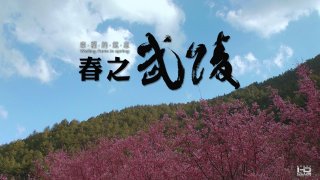 HD.Club-3D幸福的氣息-春之武陵