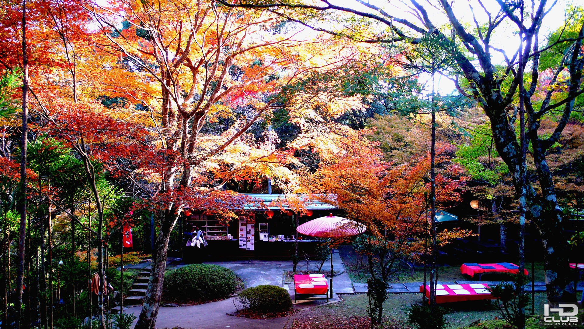 京都高雄山