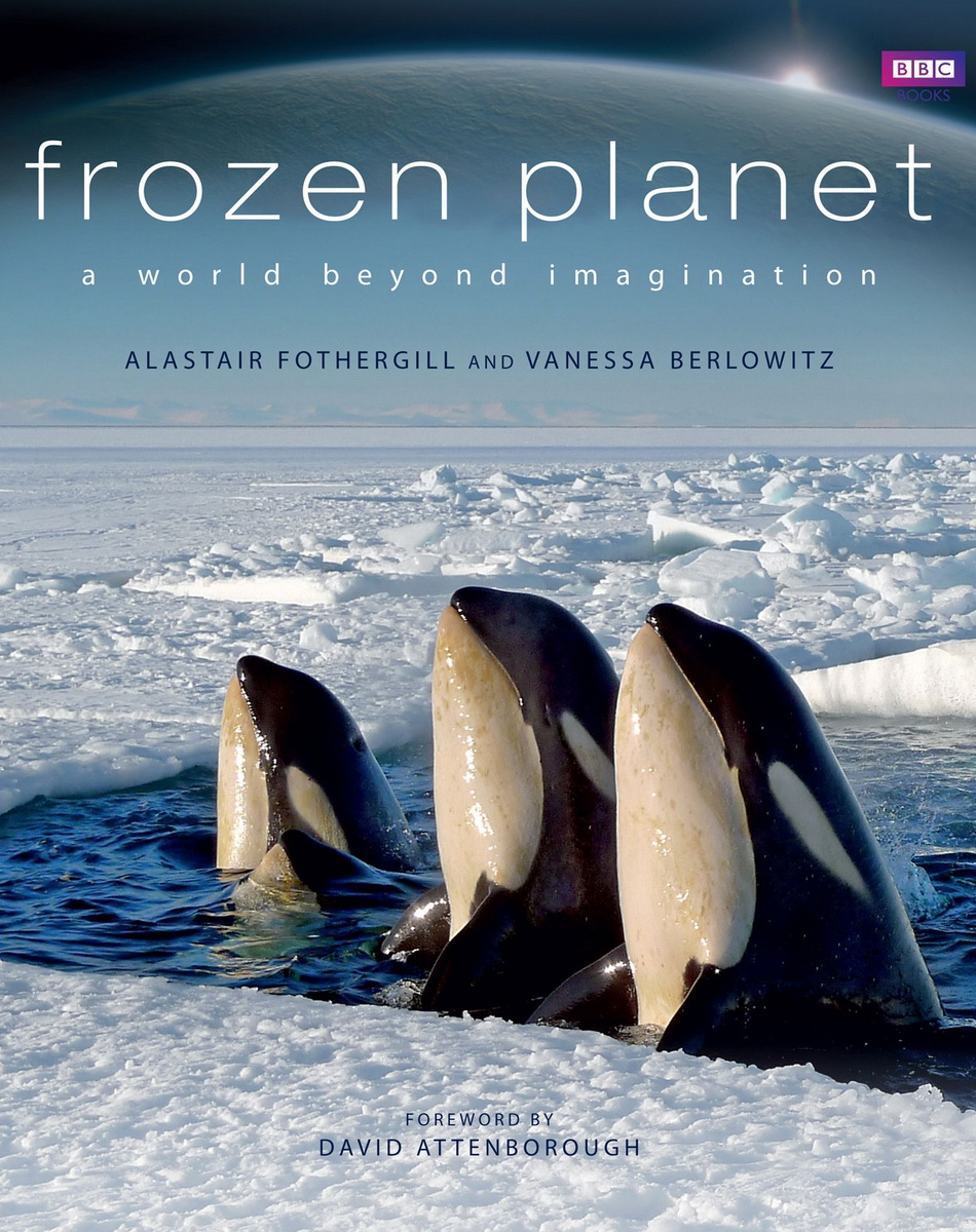 Frozen.Planet.S01.2011.1080i.HDTV.DualAudio.x264.jpg