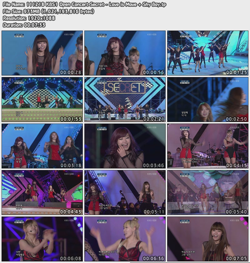 111218 KBS1 Open Concert Secret - Love is Move   Shy Boy.jpg
