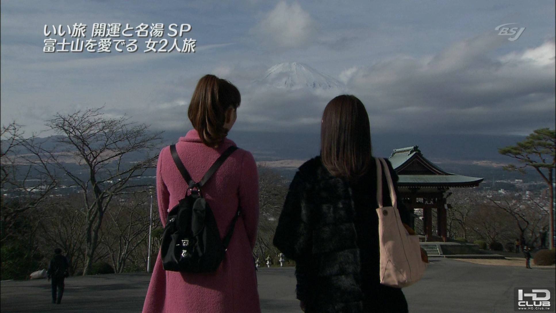 PDVD_003.jpg