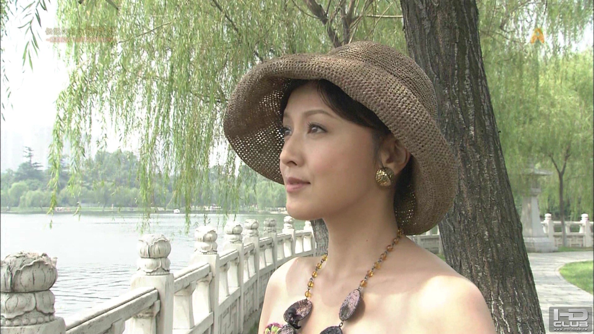 PDVD_008.jpg