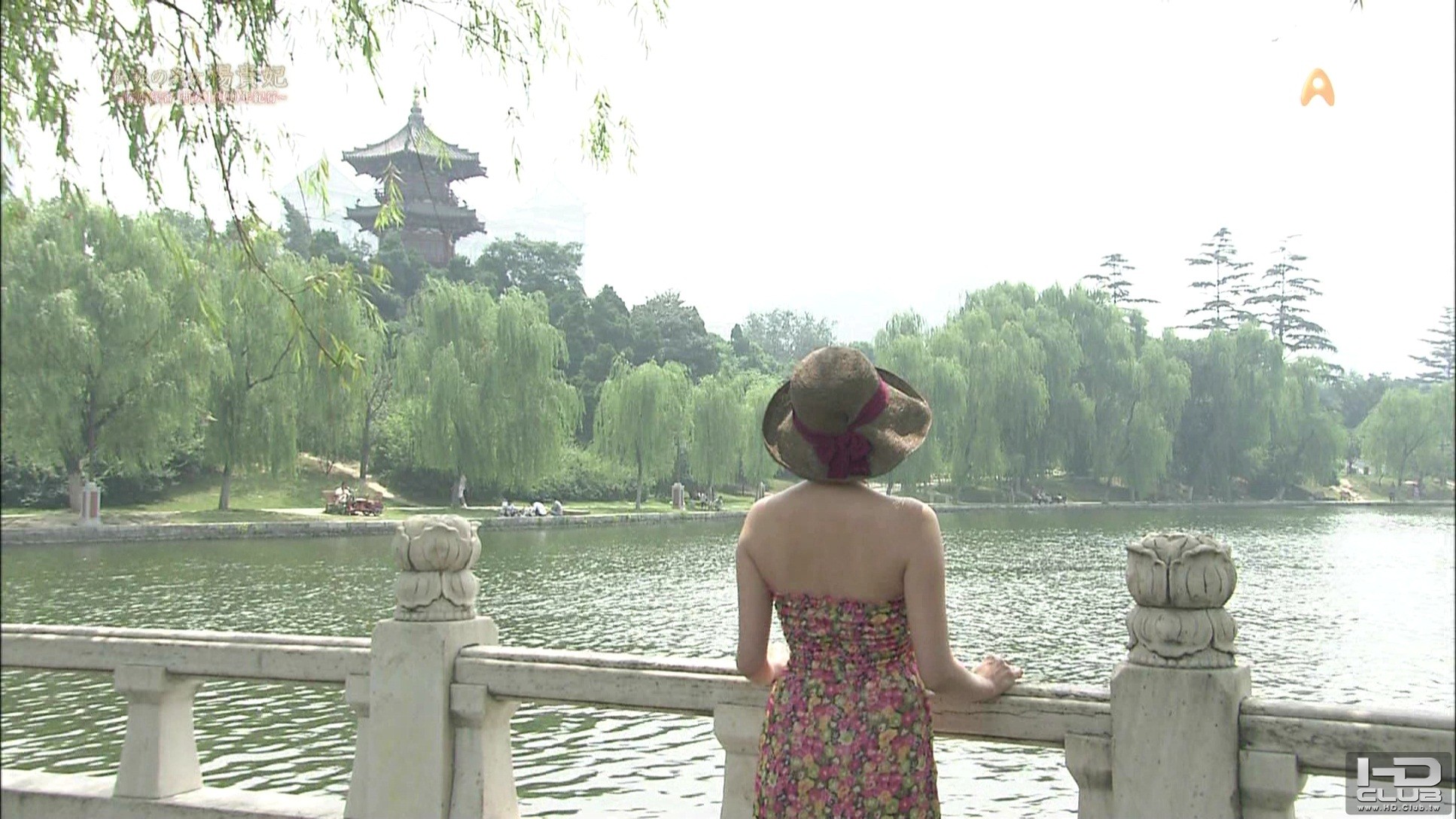 PDVD_018.jpg