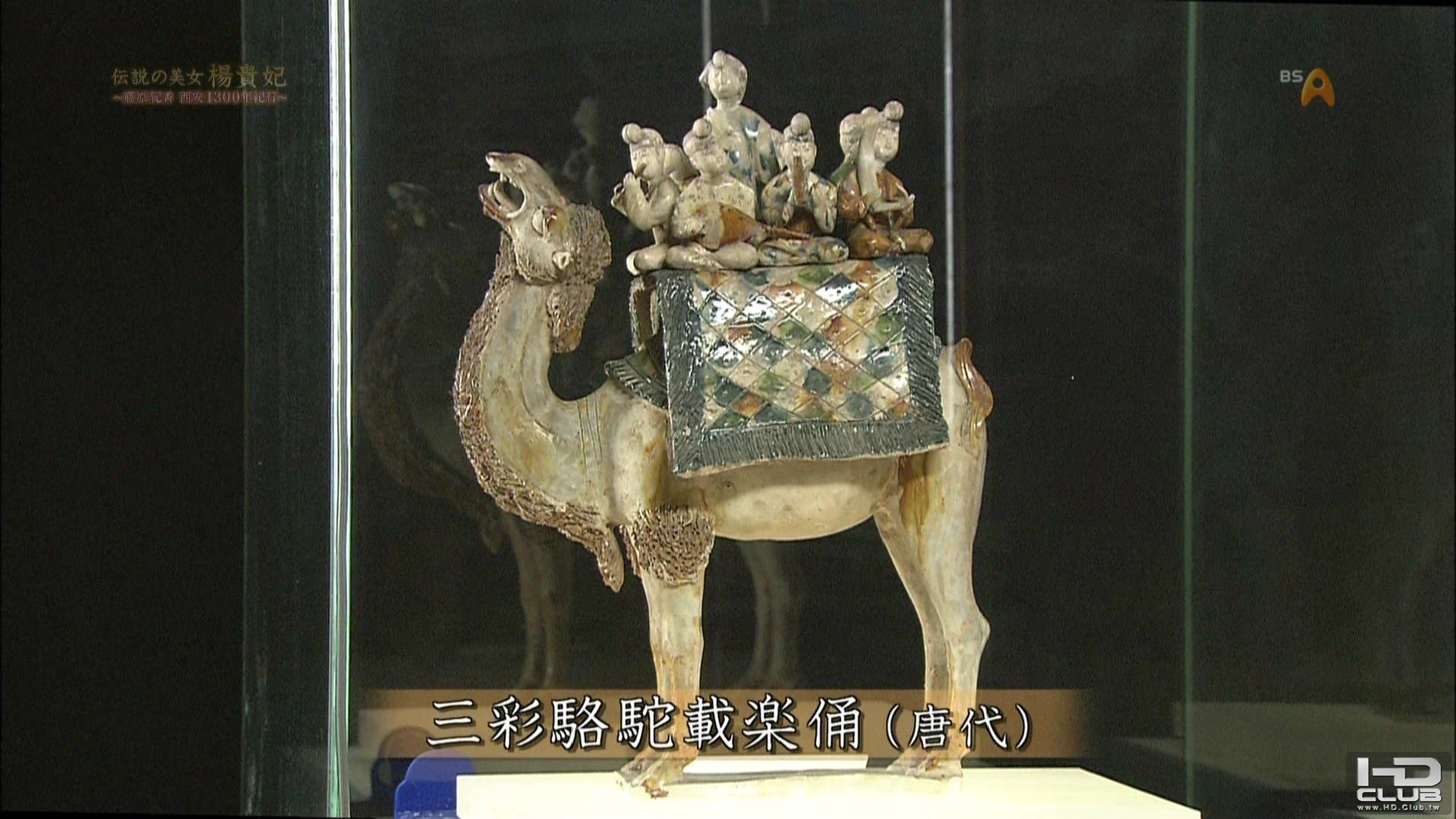PDVD_019.jpg