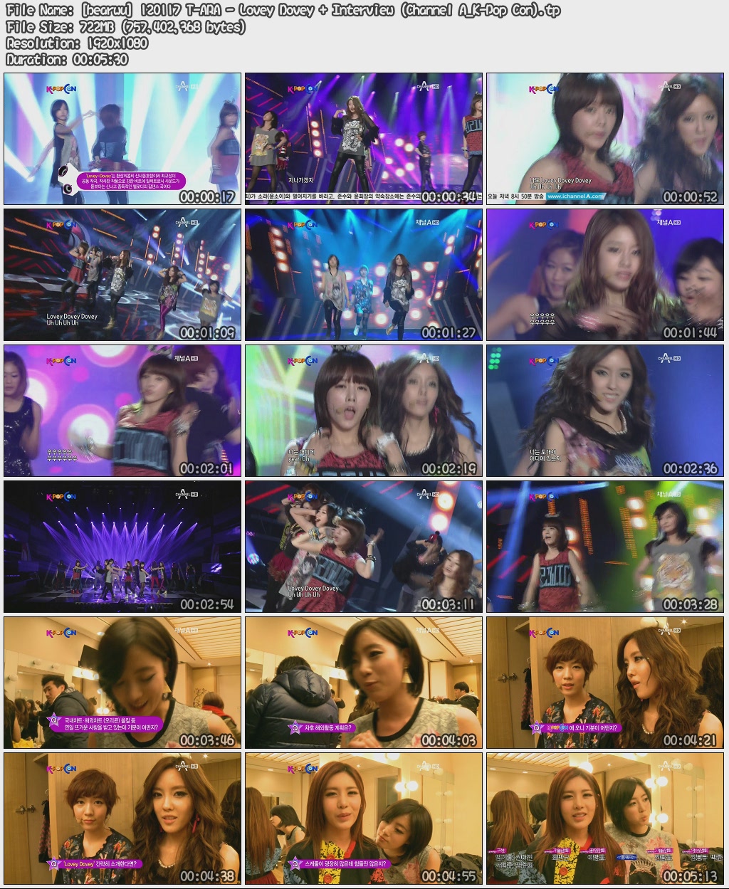 [bearwu] 120117 T-ARA - Lovey Dovey   Interview (Channel A_K-Pop Con).jpg