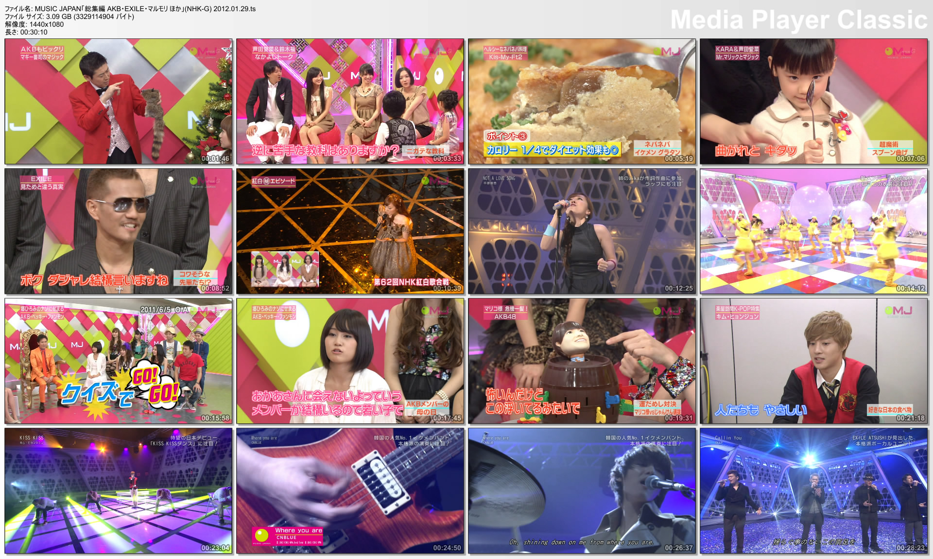 MUSIC JAPAN「総集編 AKB・EXILE・マルモリ ほか」(NHK-G) 2012.01.29.jpg