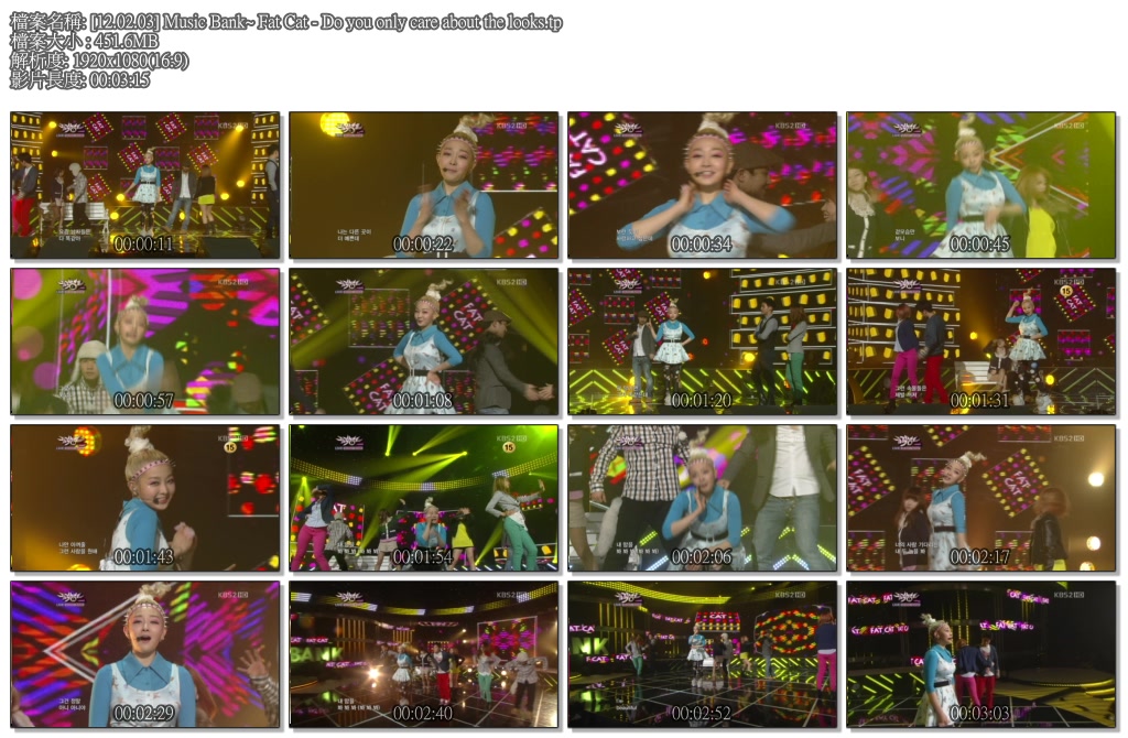 Fat Cat - Do you only care about the looks.jpg