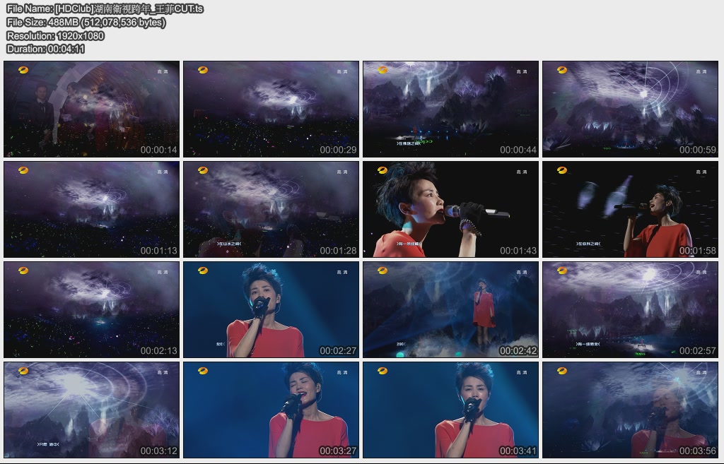 [HDClub]湖南衛視跨年_王菲CUT.jpg