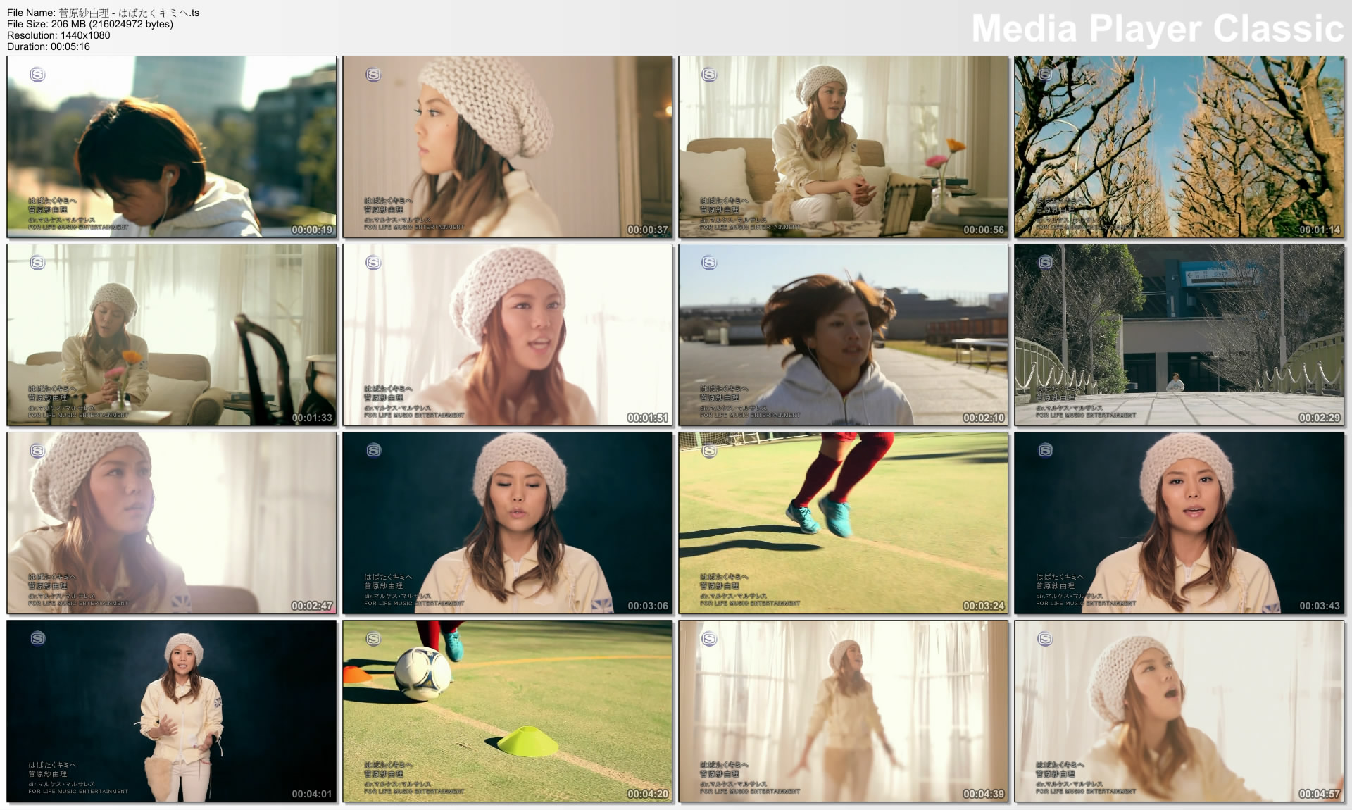 菅原紗由理 - はばたくキミへ.jpg