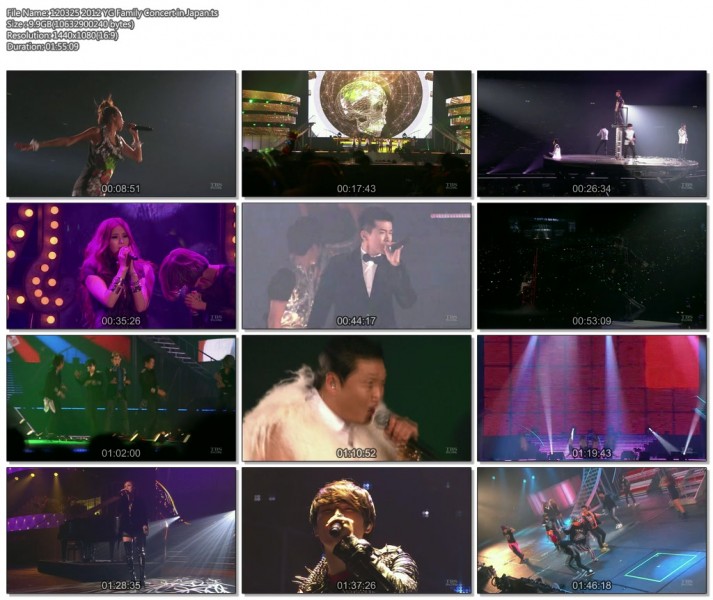 120325 2012 YG Family Concert in Japan.ts.jpg