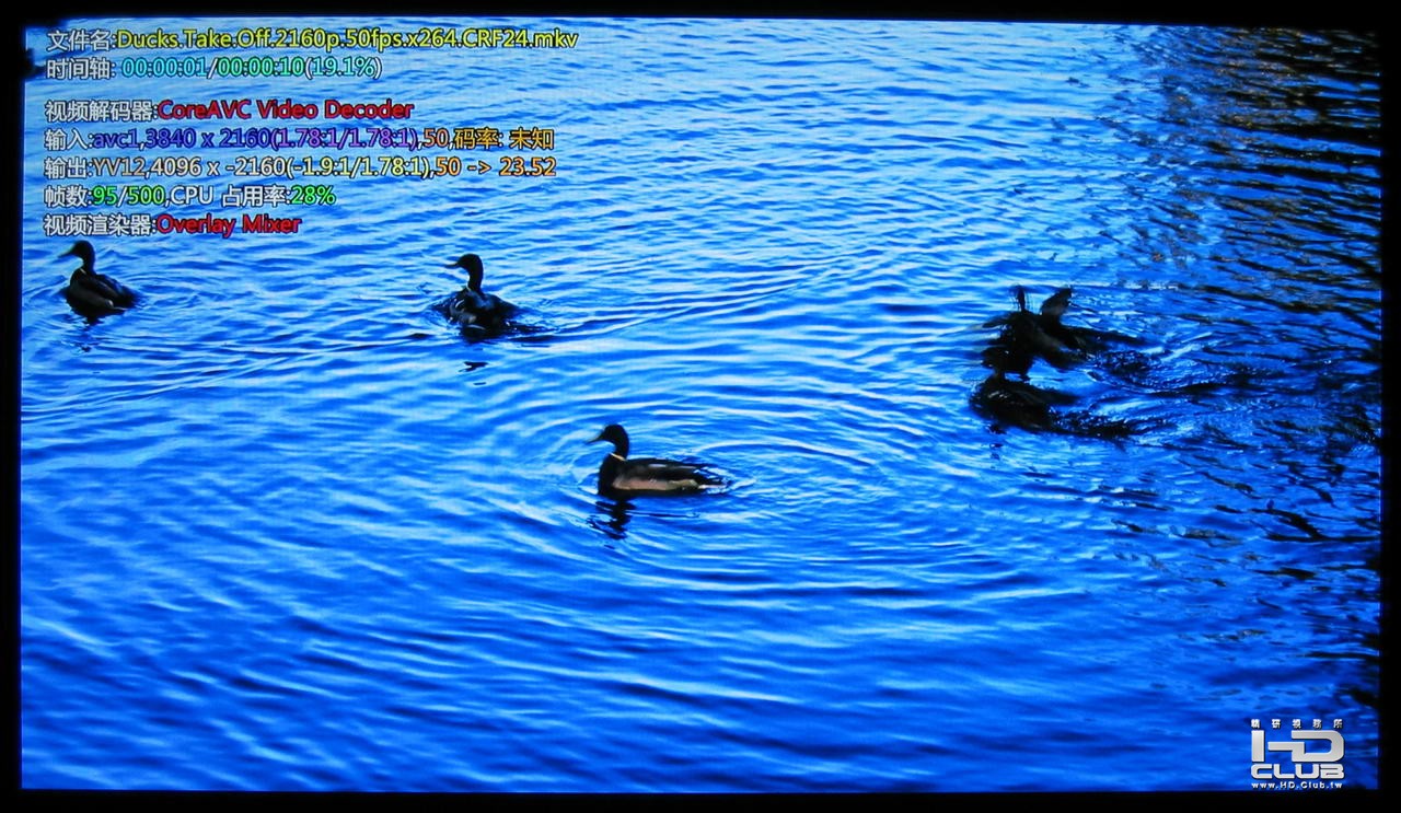 AVC.duck.50fps.正常.JPG