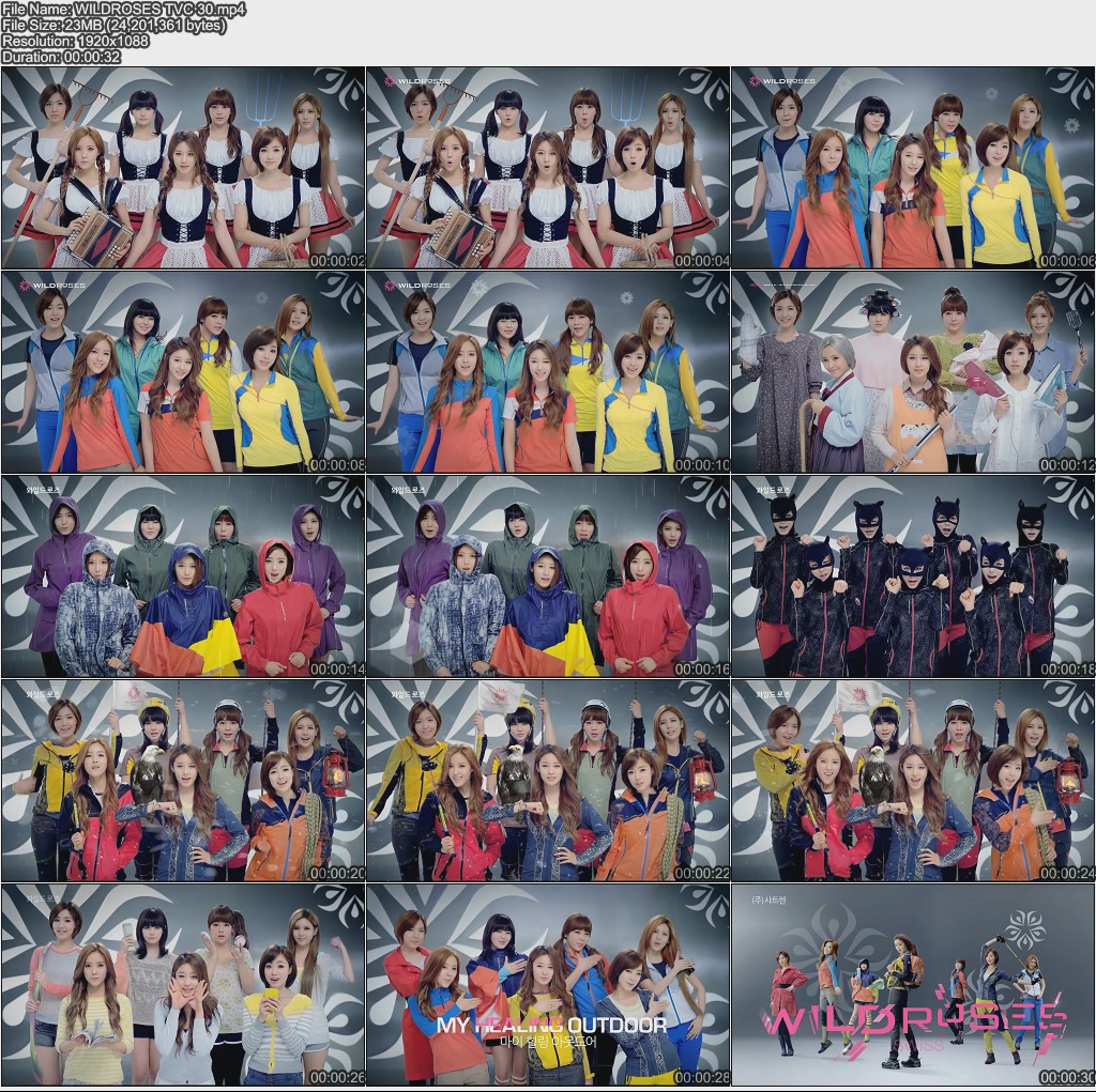 WILDROSES TVC 30.jpg