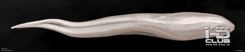 prometheus-concept-art-creature5.jpg