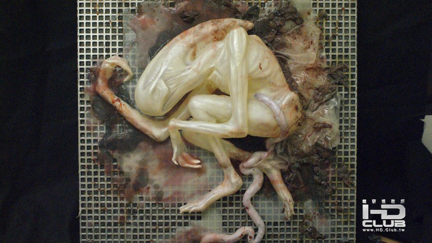 prometheus-concept-art-creature11.jpg