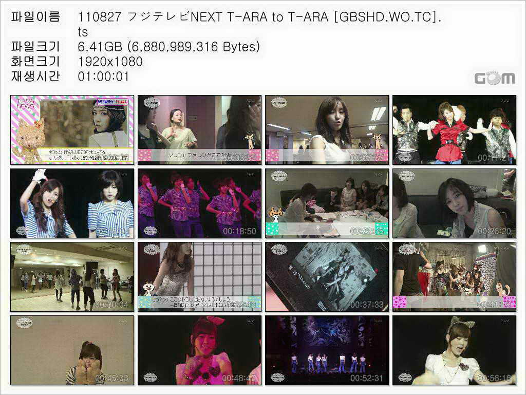 FUJI NEXT T-ARA to T-ARA.jpg