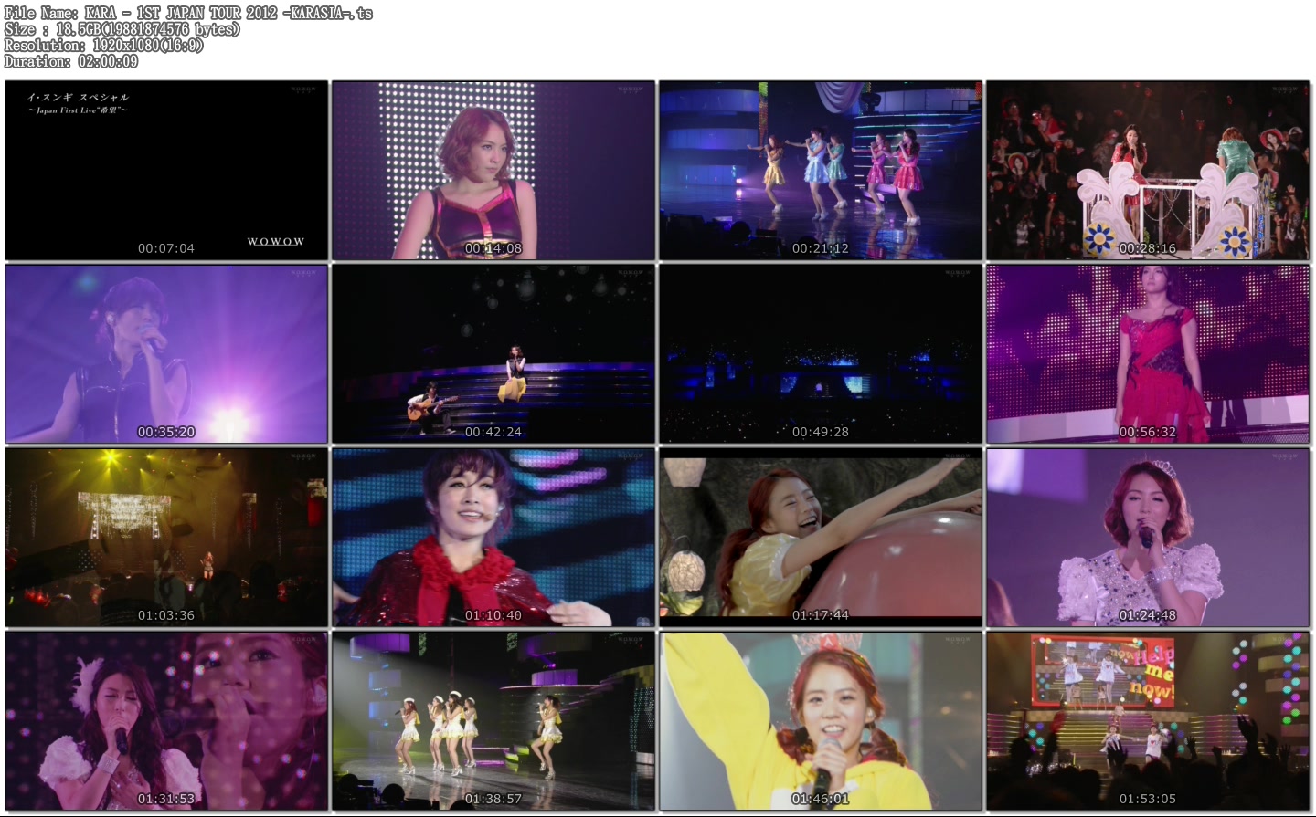 KARA - 1ST JAPAN TOUR 2012 -KARASIA-.ts.jpg