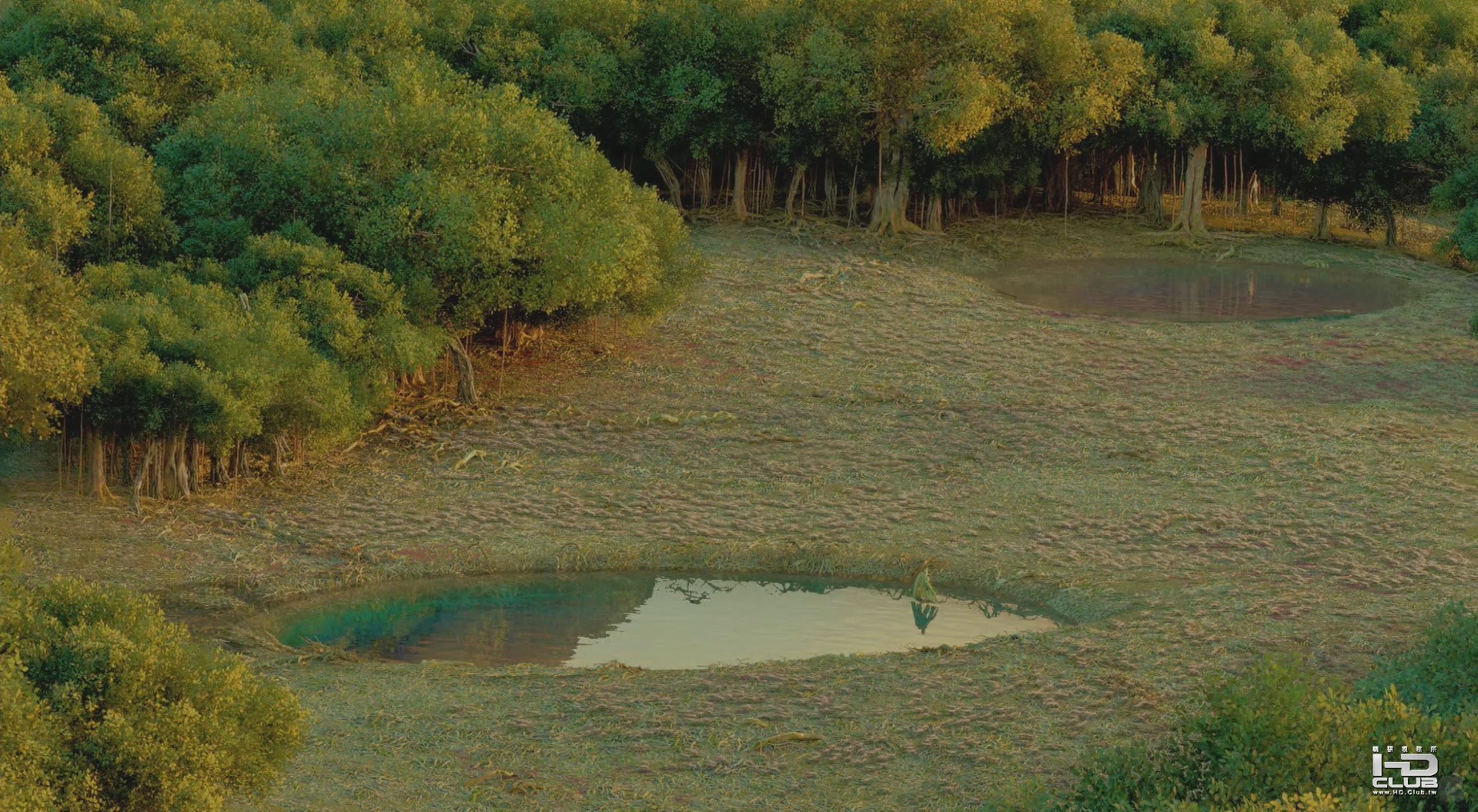 lifeofpi-tlr1_h1080p[22-18-23].JPG