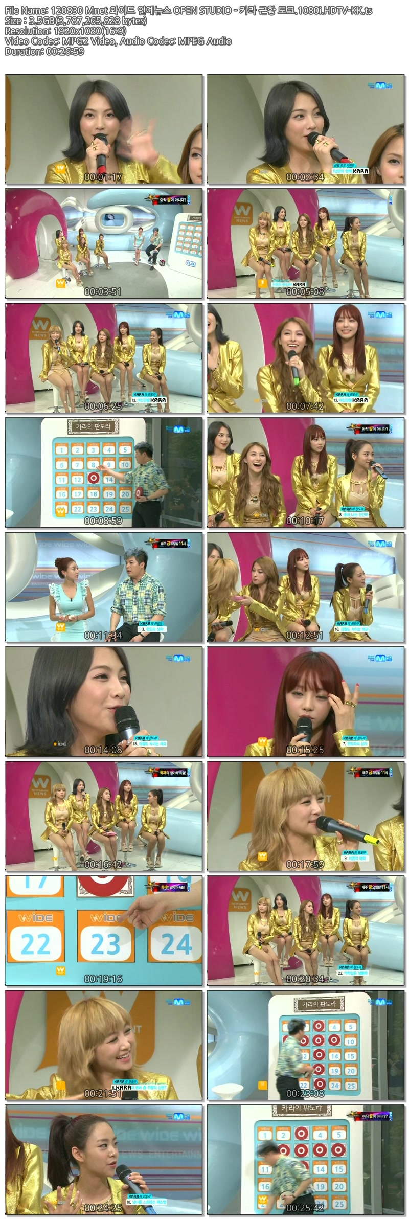 120830 Mnet 와이드 연예뉴스 OPEN STUDIO - 카라 근황 토크.1080i.HDTV-KK.ts.jpg
