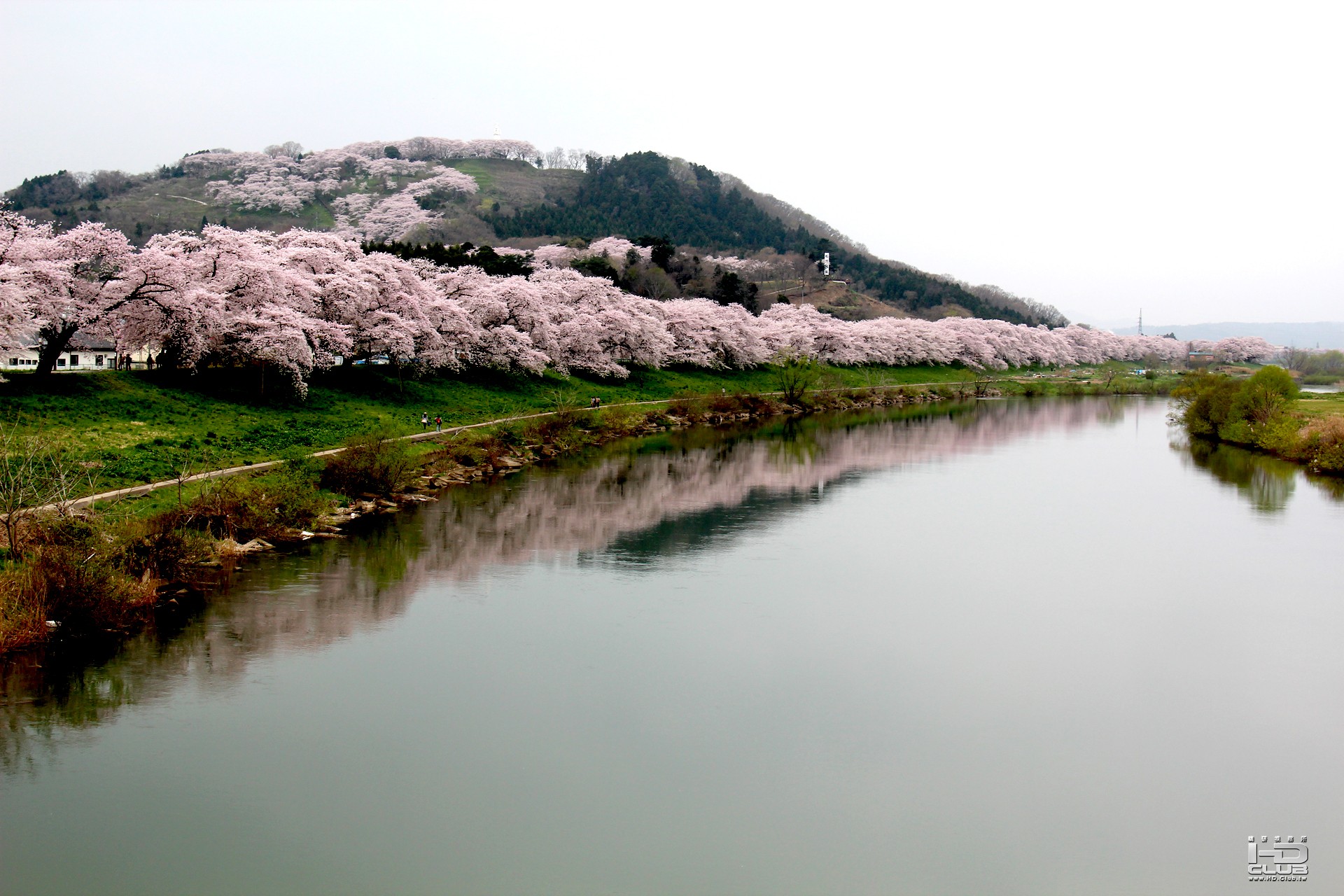 船岡白石川堤