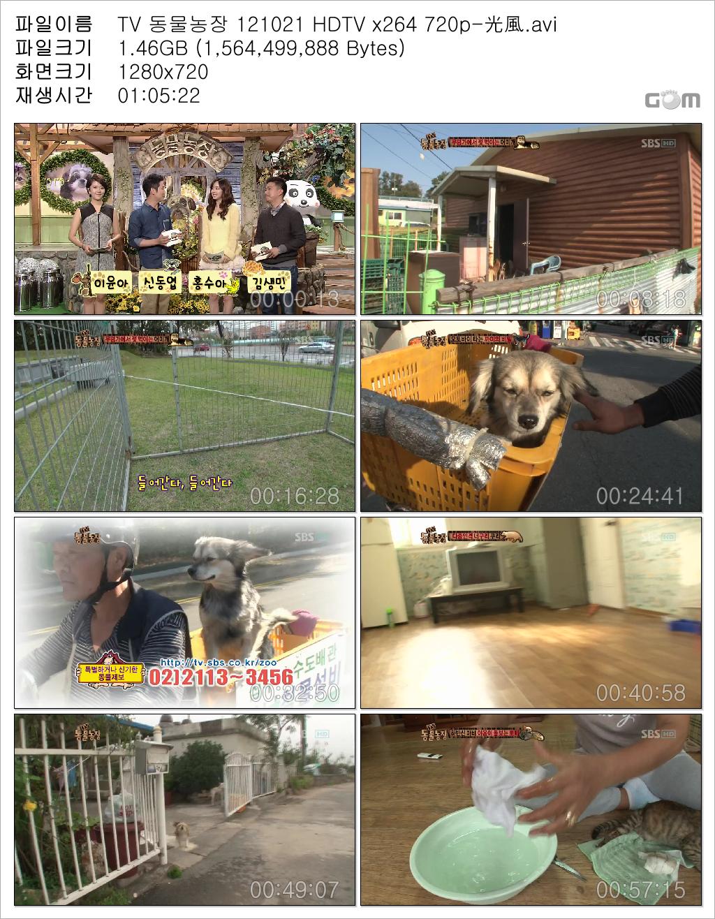 TV 동물농장 121021 HDTV x264 720p-光風.avi.jpg
