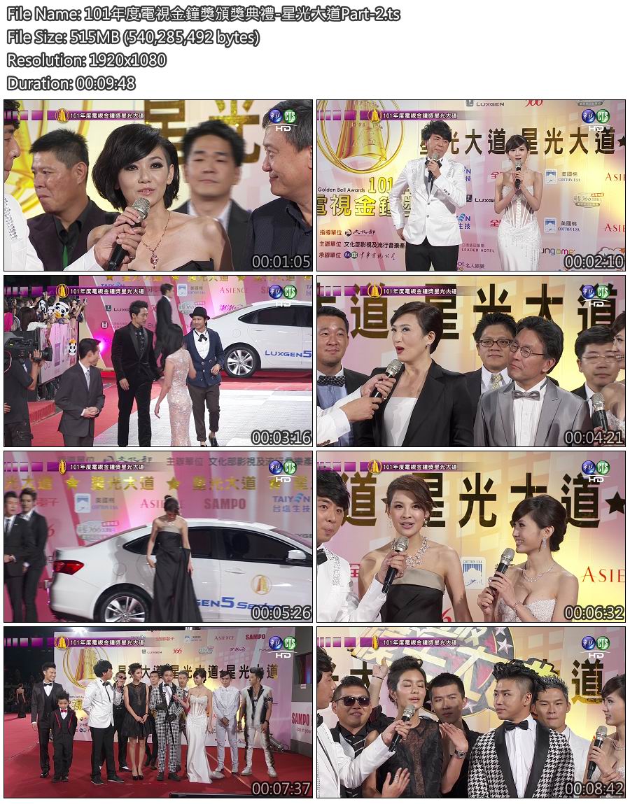 101年度電視金鐘獎頒獎典禮-星光大道Part-2.jpg