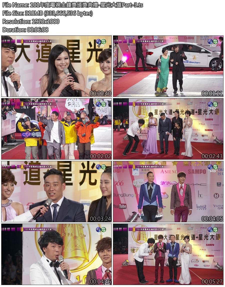 101年度電視金鐘獎頒獎典禮-星光大道Part-3.jpg