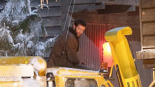 wolverineset10201212.jpeg