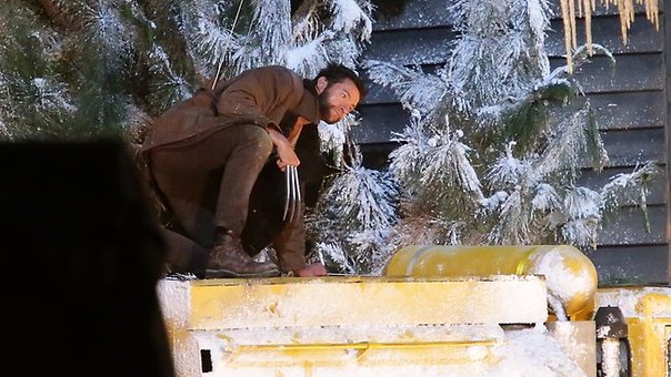 wolverineset10201214.jpeg