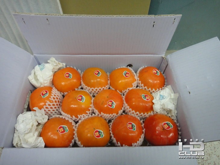DSC01865.JPG