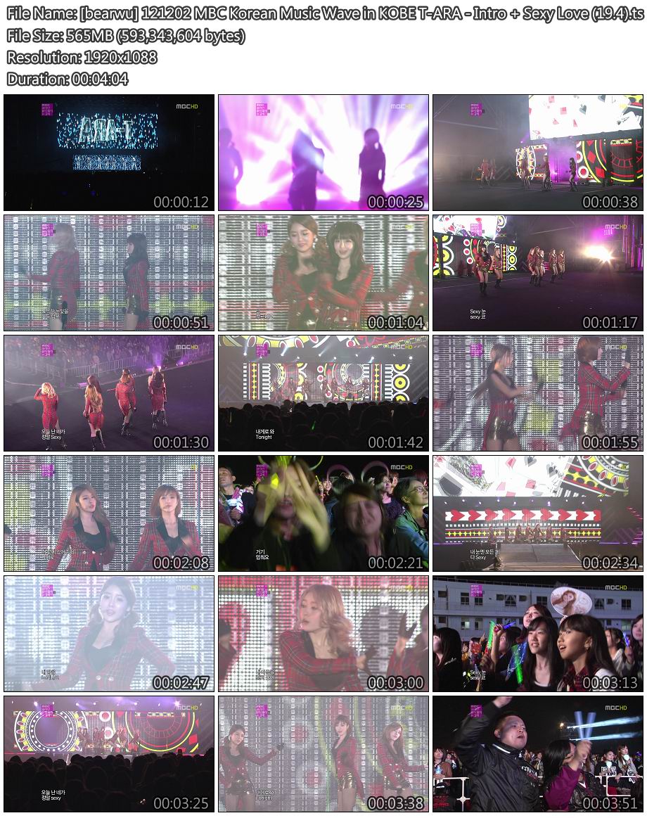 [bearwu] 121202 MBC Korean Music Wave in KOBE T-ARA - Intro   Sexy Love (19.4).jpg
