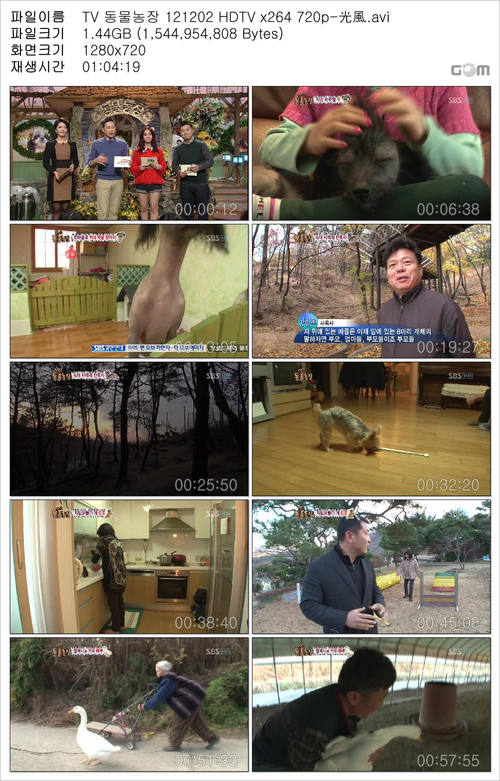 TV 동물농장 121202 HDTV x264 720p-光風.avi.jpg