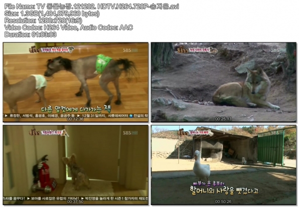 TV 동물농장.121202. HDTV.H264.720P-송지은.avi.jpg