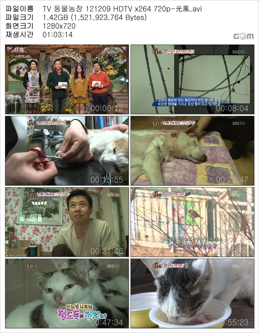 TV 동물농장 121209 HDTV x264 720p-光風.avi.jpg