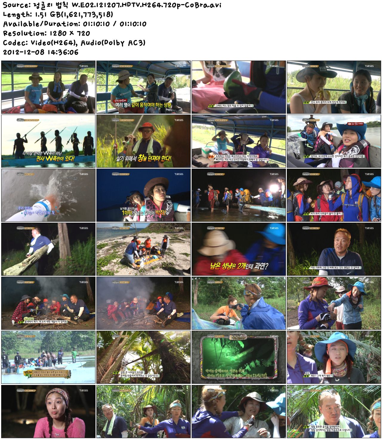 정글의 법칙 W.E02.121207.HDTV.H264.720p-CoBra.avi.jpg