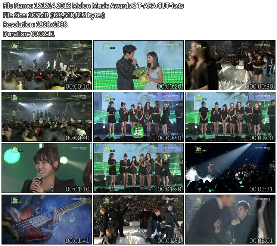 121214 2012 Melon Music Awards 2 T-ARA CUT-io.jpg