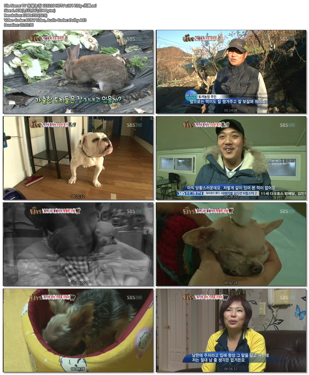 TV 동물농장 121216 HDTV x264 720p-光風.avi.jpg