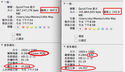 輸出檔案內容