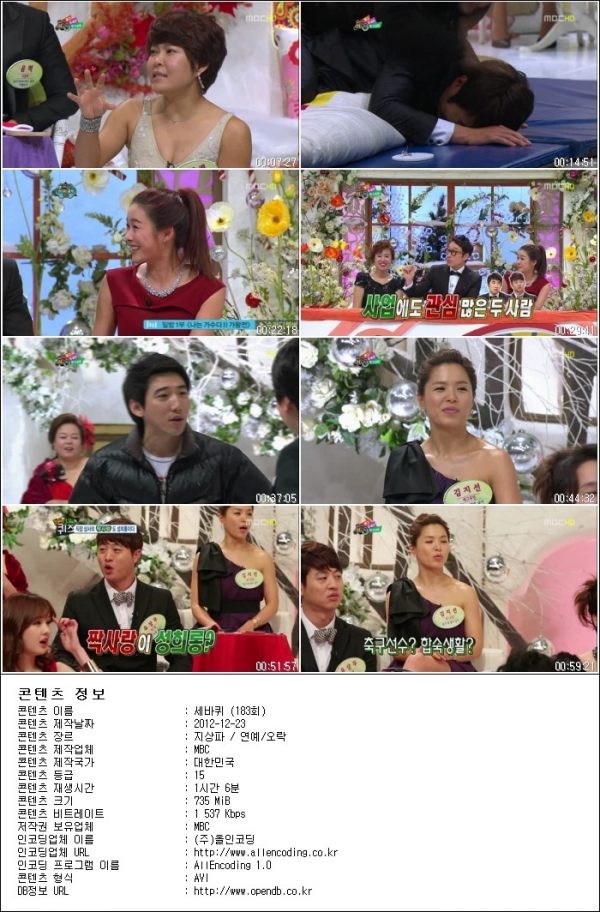 세바퀴.E183.121222.HDTV.XViD-HANrel.avi.jpg