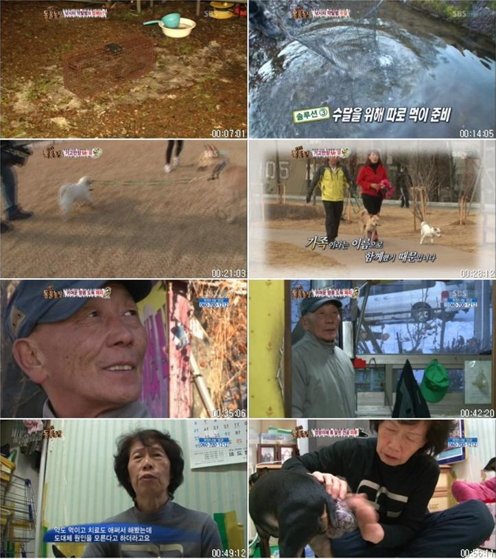 TV 동물농장.E595.121223.HDTV.H264.720p-HANrel.avi.jpg