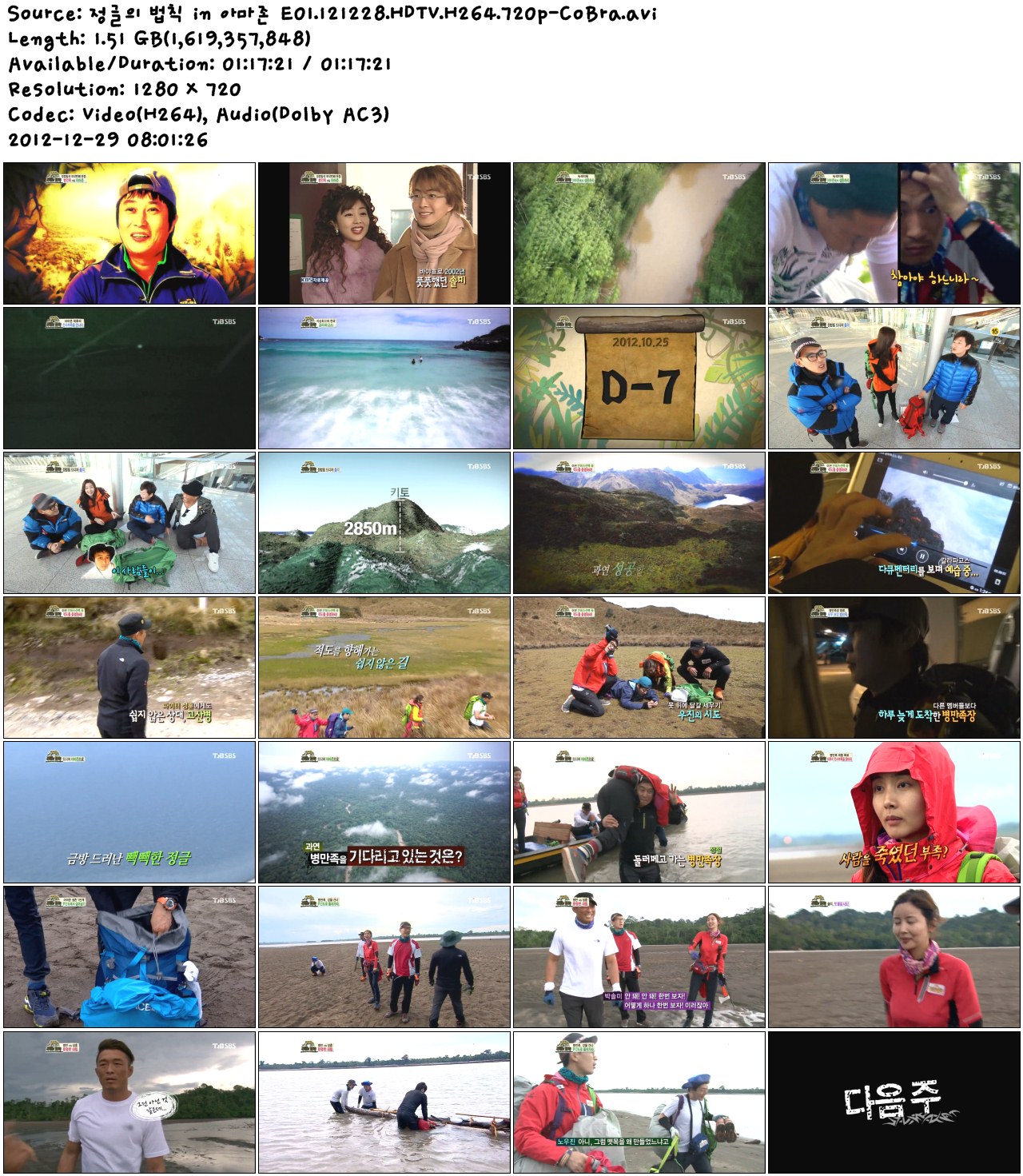 정글의 법칙 in 아마존 E01.121228.HDTV.H264.720p-CoBra.avi.jpg