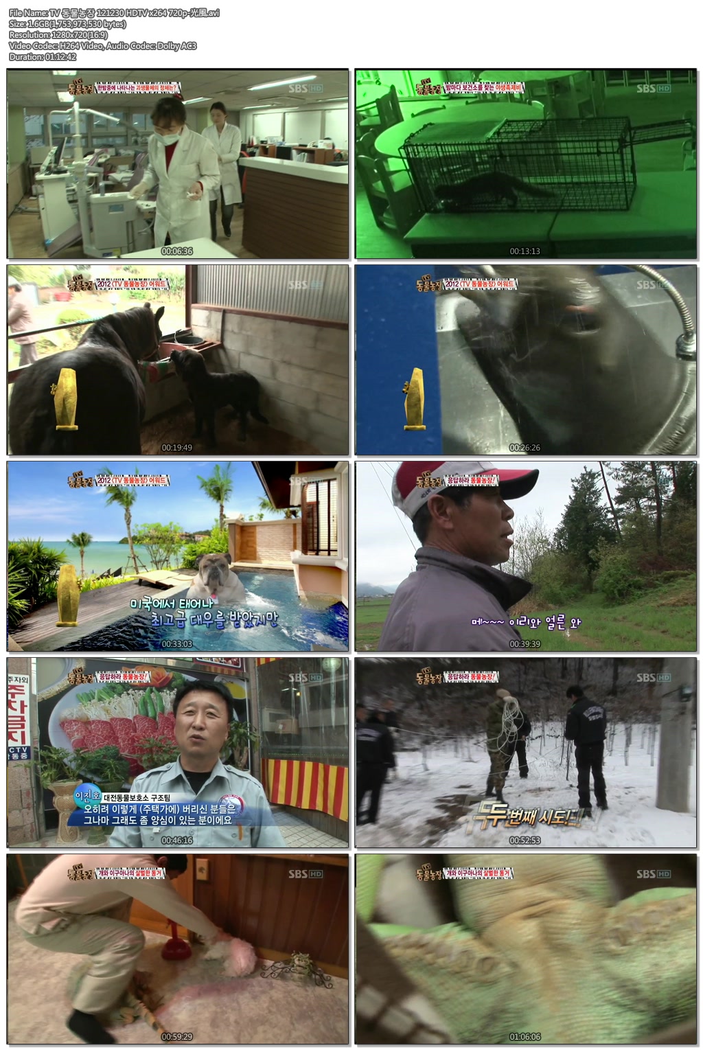 TV 동물농장 121230 HDTV x264 720p-光風.avi..jpg