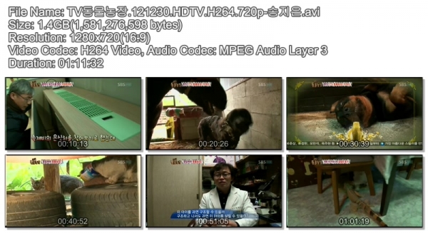 TV동물농장.121230.HDTV.H264.720p-송지은.avi..jpg